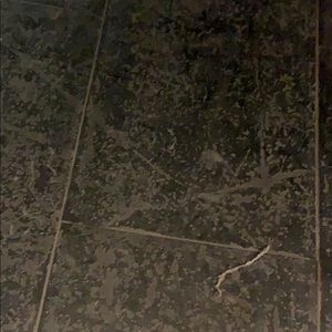 Meet your Posher, Devin